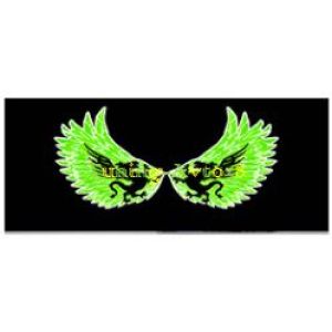 Эквалайзер 60*30 Крылья с драконом зеленый