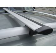 Багажник КРЕПЫШ на рейлинги с крыловидными дугами