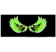 Эквалайзер 60*30 Крылья с драконом зеленый