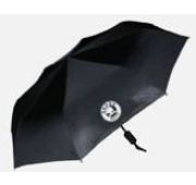 Зонт с логотипом Skoda