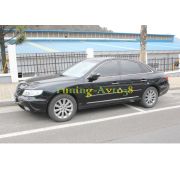 Молдинги на двери ( хром ) нижние Hyundai Grandeur TG 2005-2010