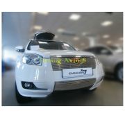 Накладка на решетку радиатора ( трубочки ) d 10  Geely Emgrand X7 2013-