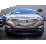 Накладка на решетку радиатора ( трубочки ) d 10 Hyundai Santa Fe II 2012