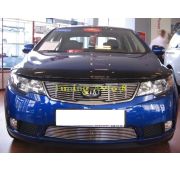 Накладка на решетку радиатора ( трубочки ) d 10  Kia Cerato 2009-