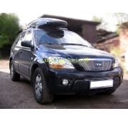 Накладка на решетку радиатора ( трубочки ) d 10 Kia Sorento BL 2006-2009