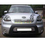 Накладка на решетку радиатора ( трубочки ) d 10 Kia Soul AM 2008-2011