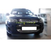Накладка на решетку радиатора ( трубочки ) d 10  LADA Kalina 2012-