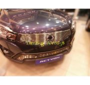 Накладка на решетку радиатора ( трубочки ) d 10 Ssang Yong Actyon  2013-